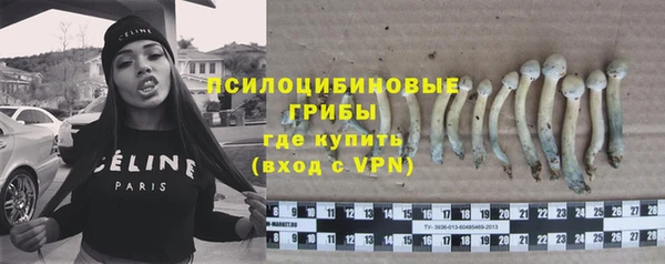 шишки Бугульма