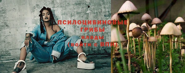 прущая мука Бородино