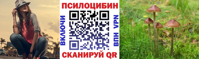 Галлюциногенные грибы Psilocybe  Сосногорск 